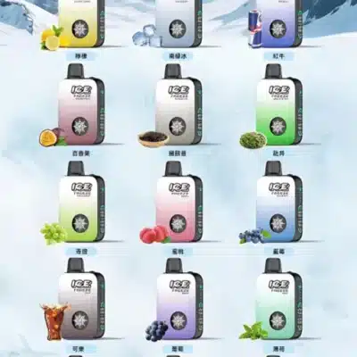 ICE FREEZE 10000口一次性電子煙